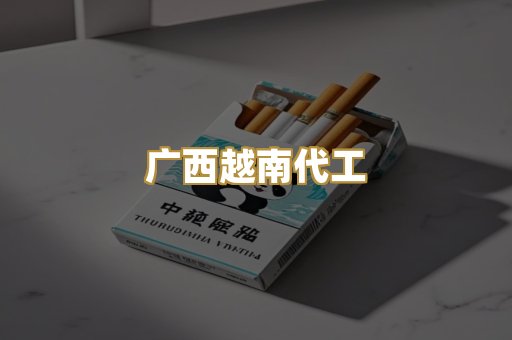 广西越南代工